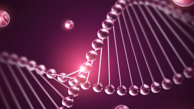 PCR检测流程：揭秘分子生物学检测的奥秘