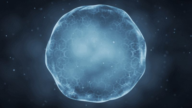 实验室耗材：揭秘定制化生产的奥秘