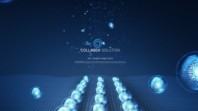 PCR引物合成的关键因素解析