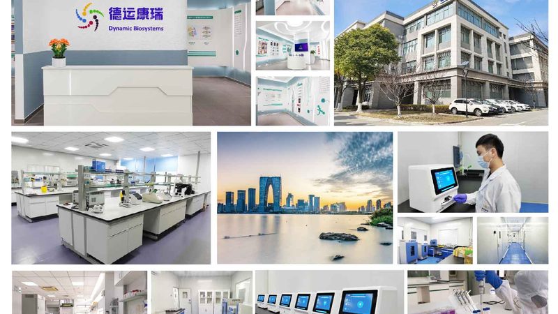 解码生命密码：个人基因测序报告解读全流程**