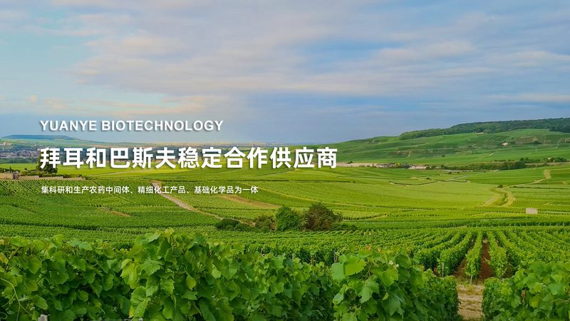 宠物抗体检测试剂盒，这样操作更安心**