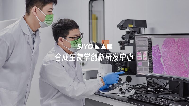 分子克隆酶试剂盒：揭秘其背后的奥秘与应用**