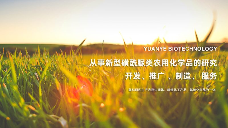 生物医药外包研发的合作选择，需关注以下关键因素：