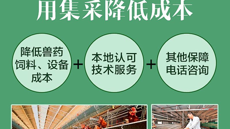 PCR试剂：揭秘其背后的技术奥秘与品牌选择