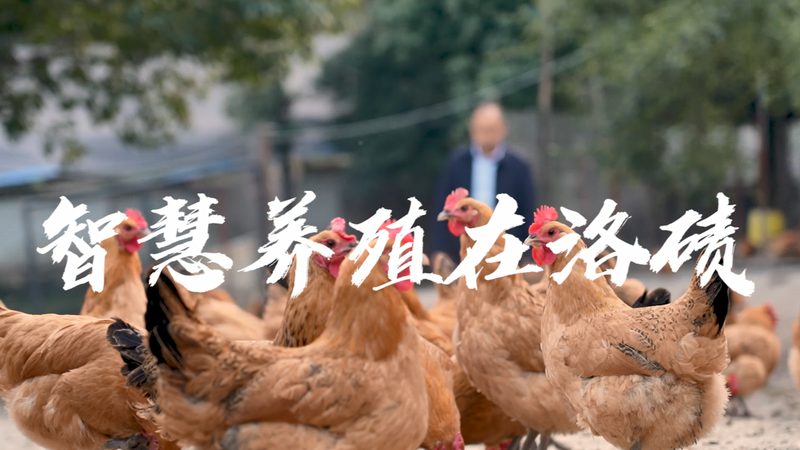 重组蛋白原料药：揭秘其背后的科技与选择之道**