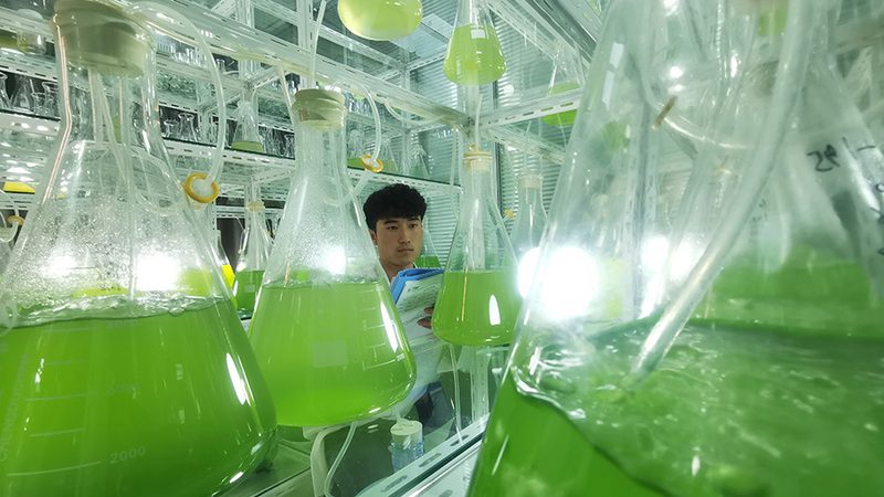 上海PCR检测项目流程：揭秘高效精准的病原体检测之道**